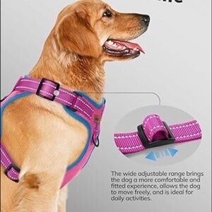 Big Dog No Pull Vest Harness